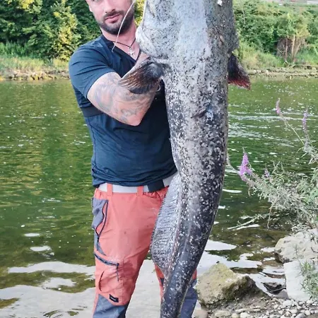 Stella Danica Appartement Catez ob Savi