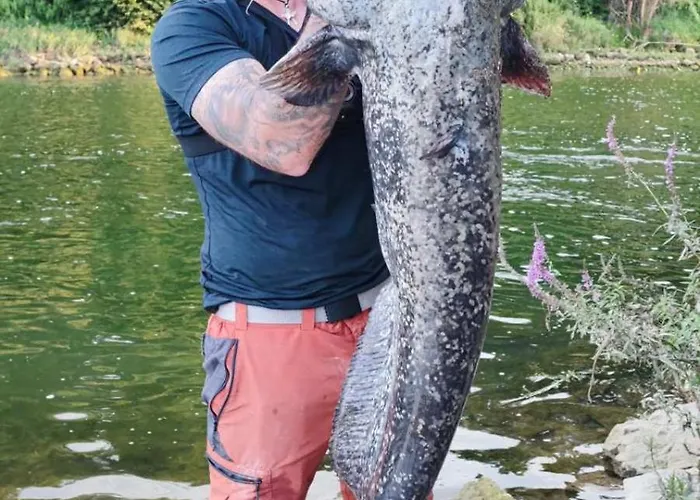 Stella Danica Apartamento Catez ob Savi